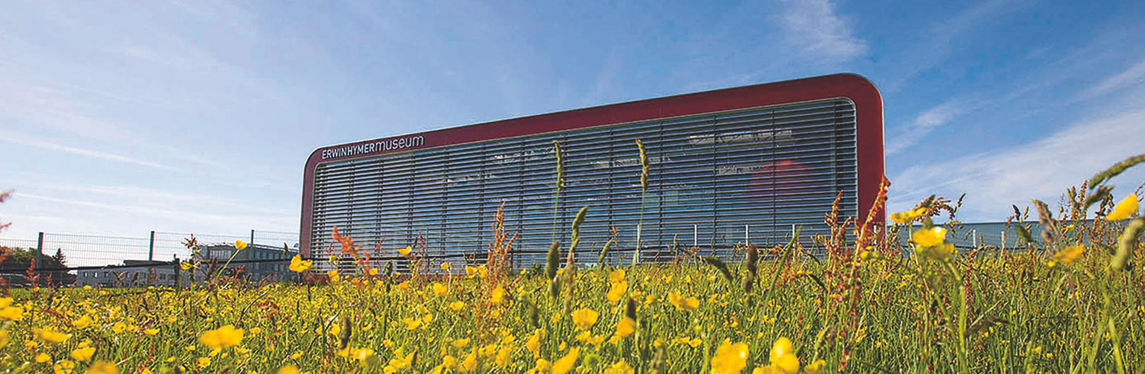 Museumsgebäude Südansicht mit Butterblumen